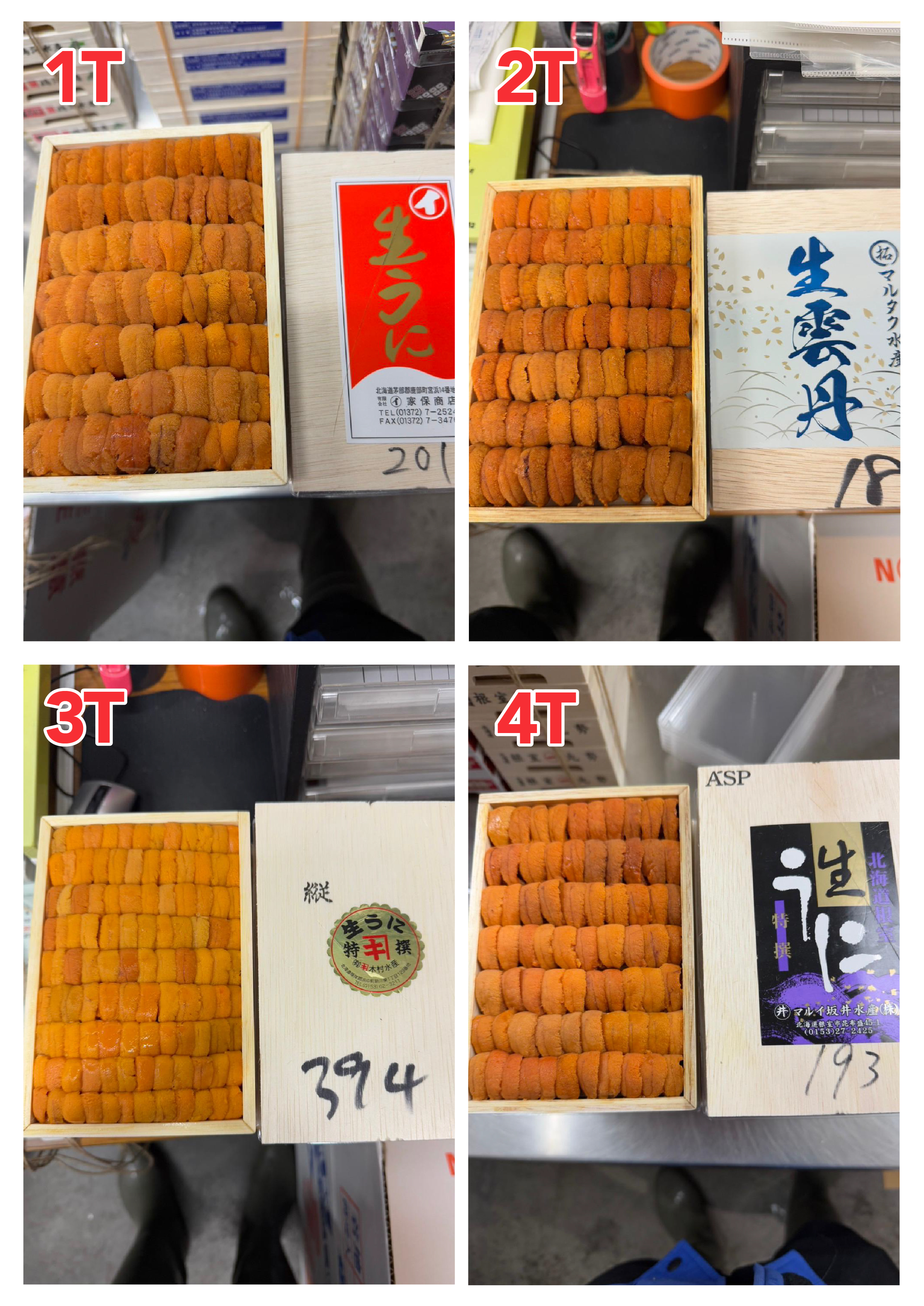 【指定海膽推薦】每天更新 (限即日落單, 翌日送)