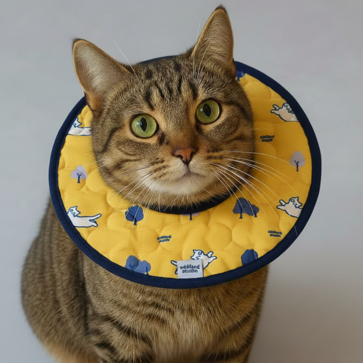 貓貓花式頭套┃共五款