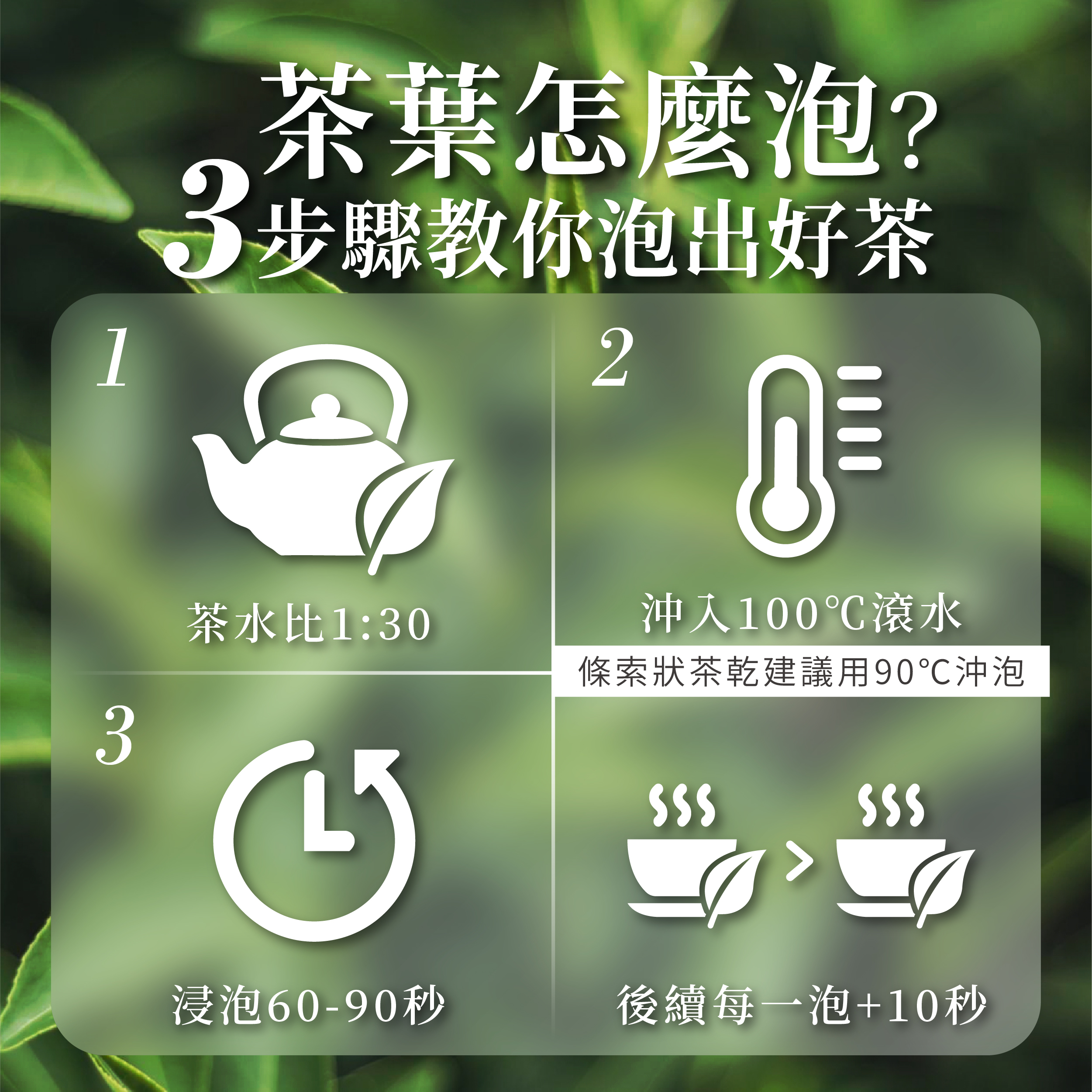 【台灣】金萱 、 四季春｜機採・口糧茶