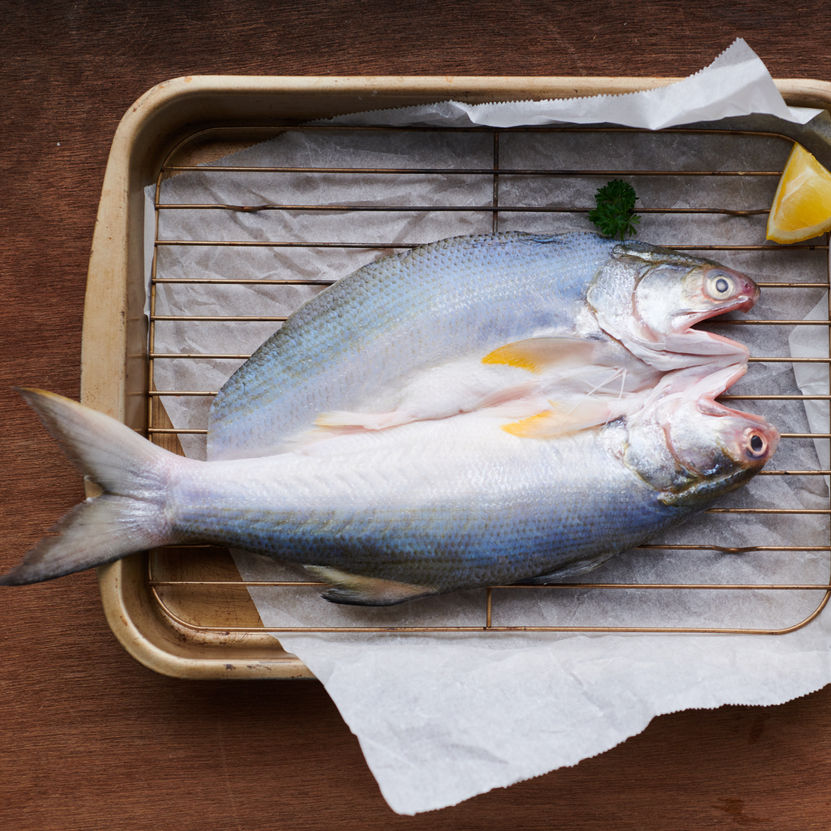 3/4體驗日｜午魚一夜干 2入組