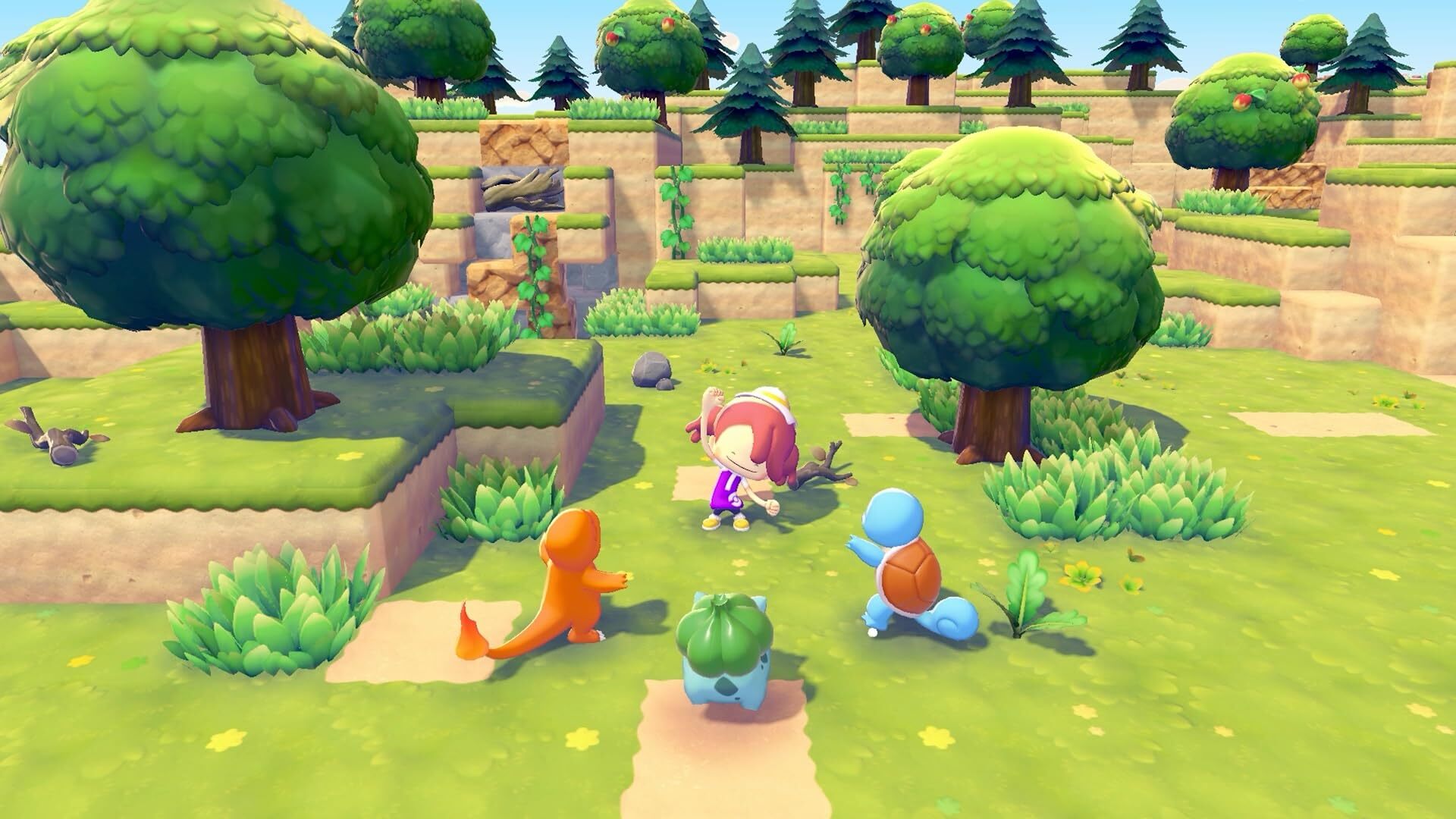 Nintendo Switch 2 Pokemon Pokopia