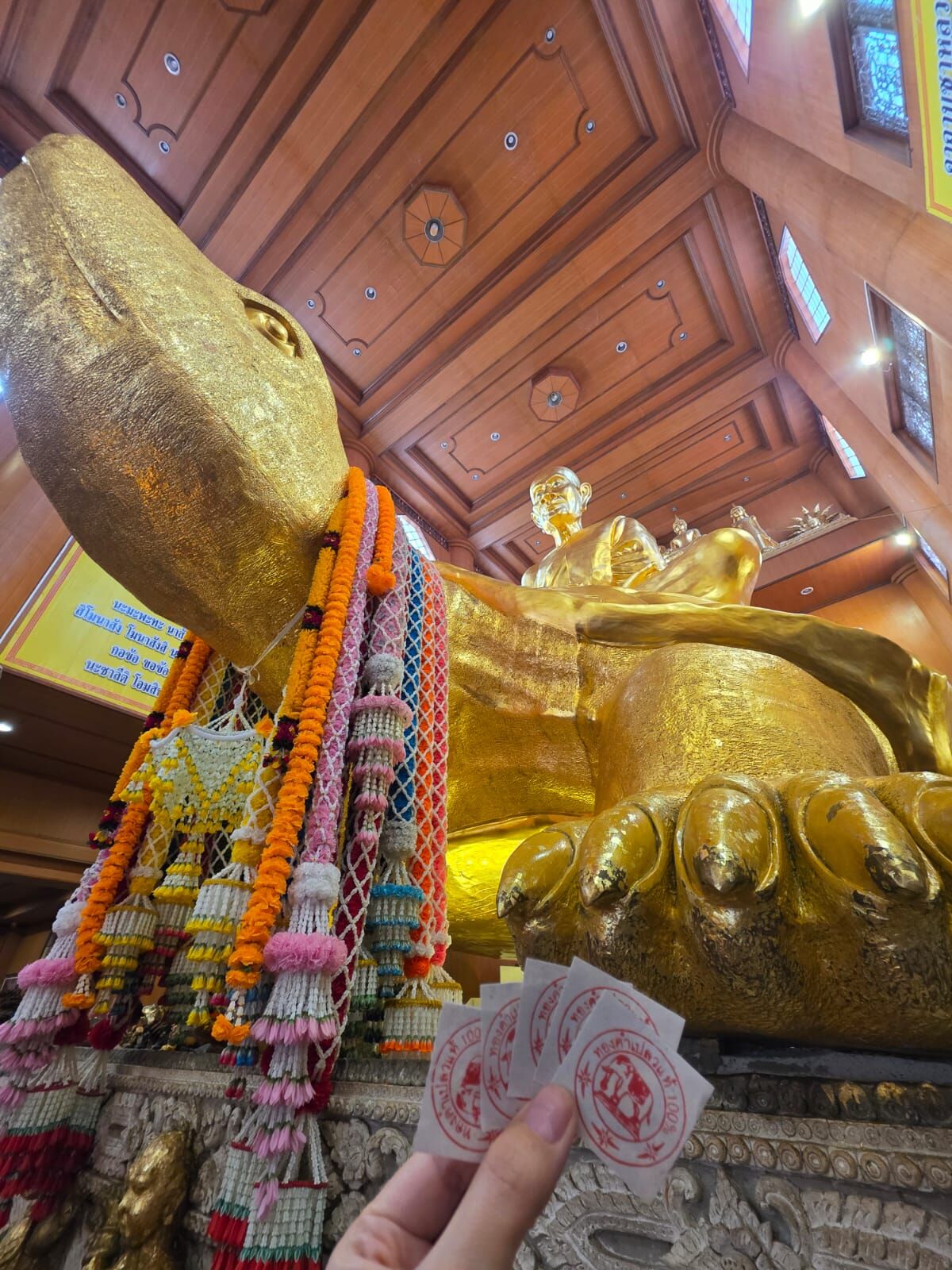 【直播】LX020315 2025 還神