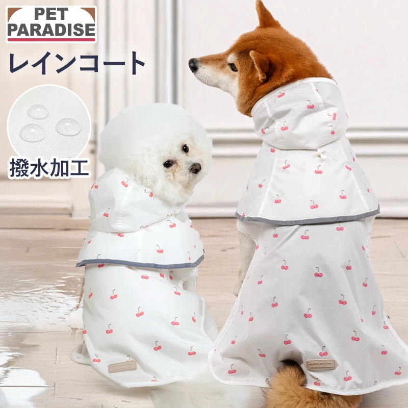 PP Raincoat <91841800>