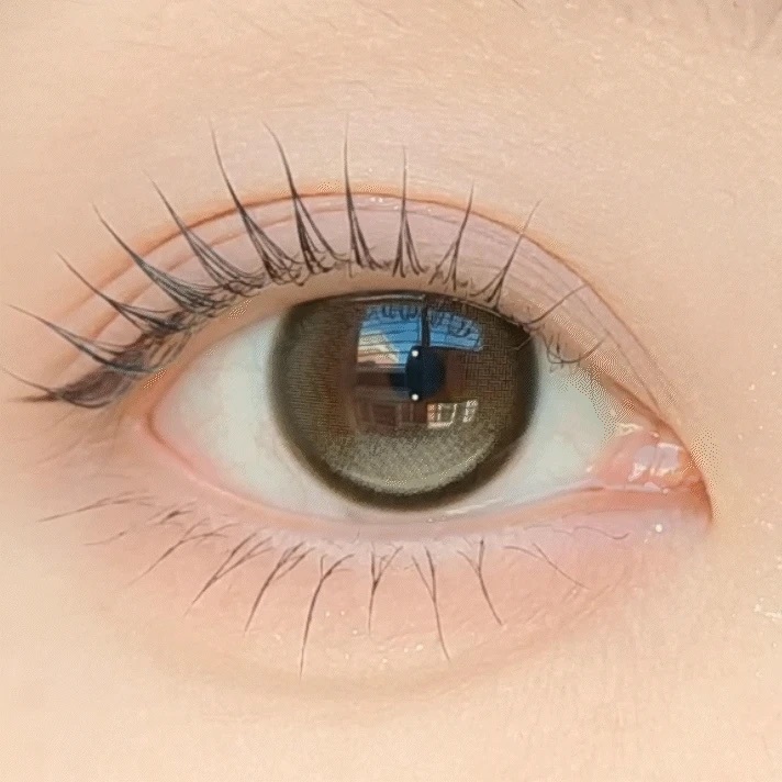 [日拋] FiPN x DAVICH 1 Day DAVICH FORAEA Fixing Olive 日拋隱形眼鏡｜每盒10片