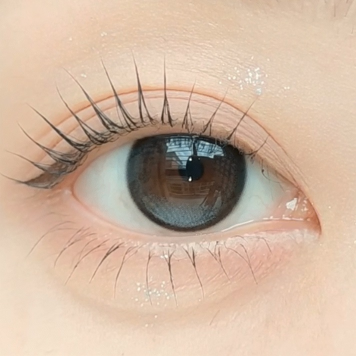 [日拋] FiPN x DAVICH 1 Day DAVICH FORAEA Fixing Ash 日拋隱形眼鏡｜每盒10片