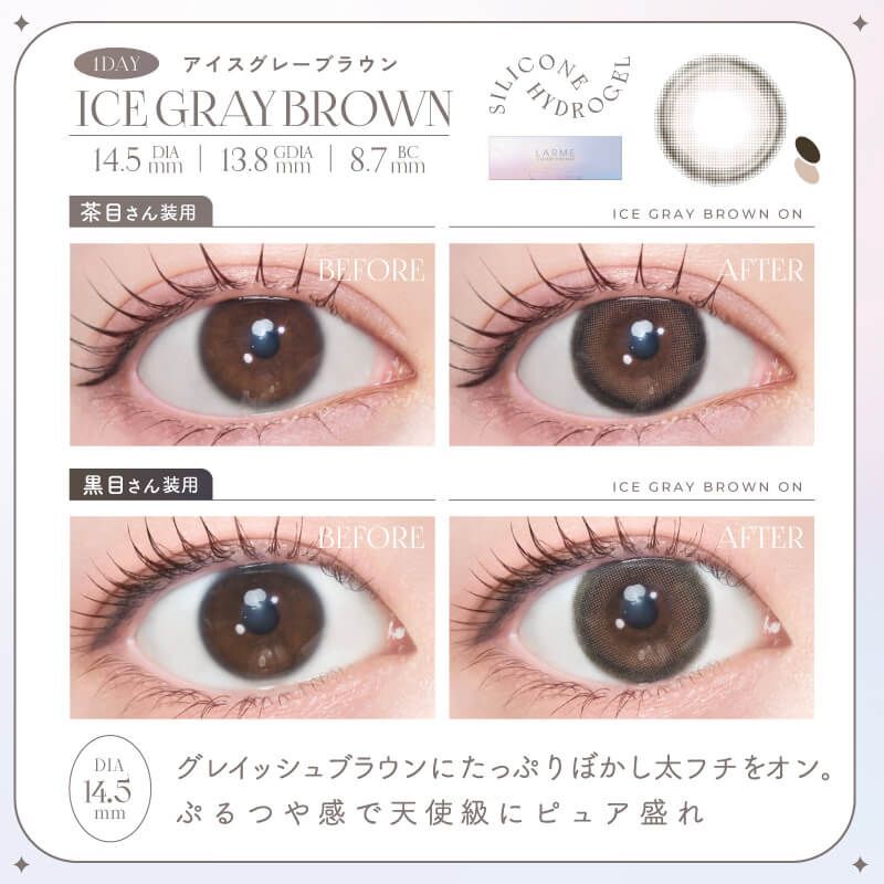Larme 1 Day (IceGray Brown) (10P)