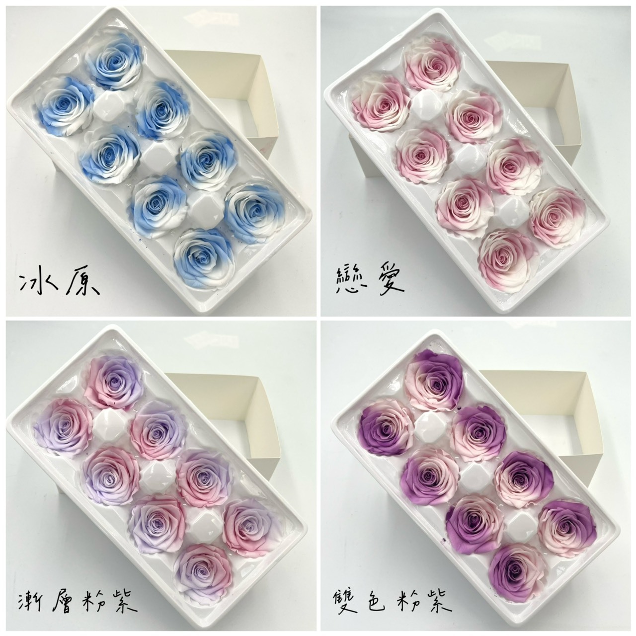 不凋漸層玫瑰(8朵)