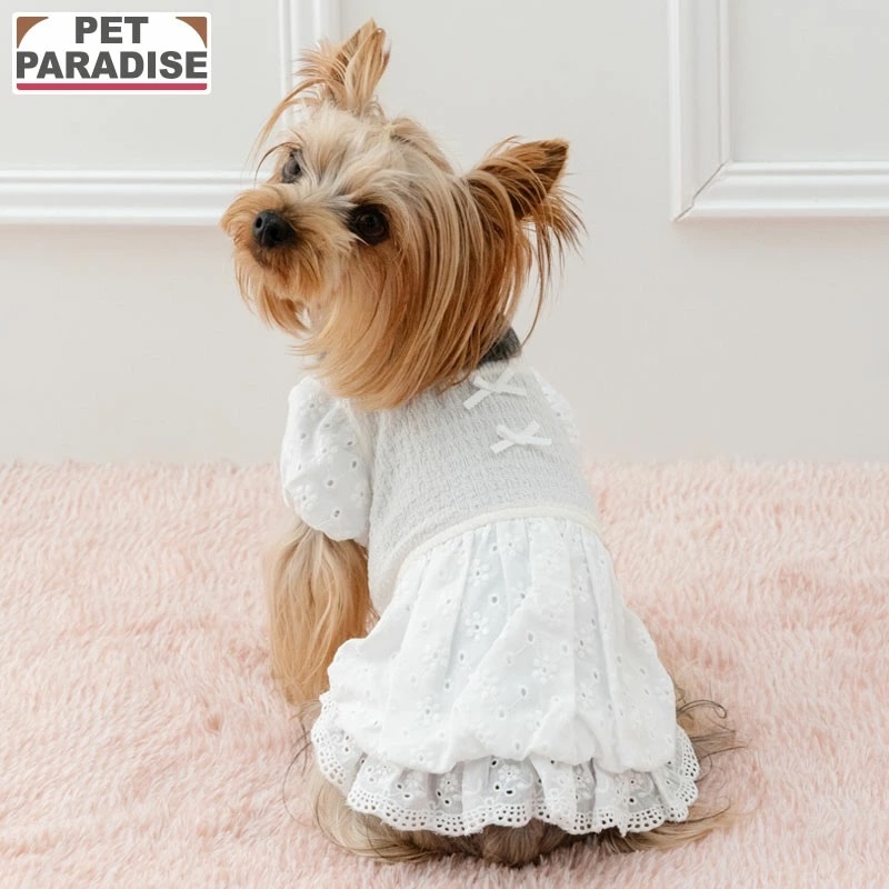 [Pet Paradise] Dress <63341793>