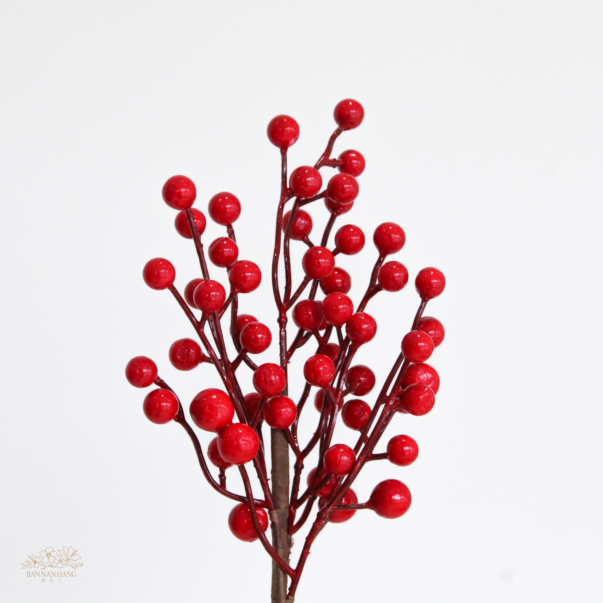 人造果  果實短枝  紅