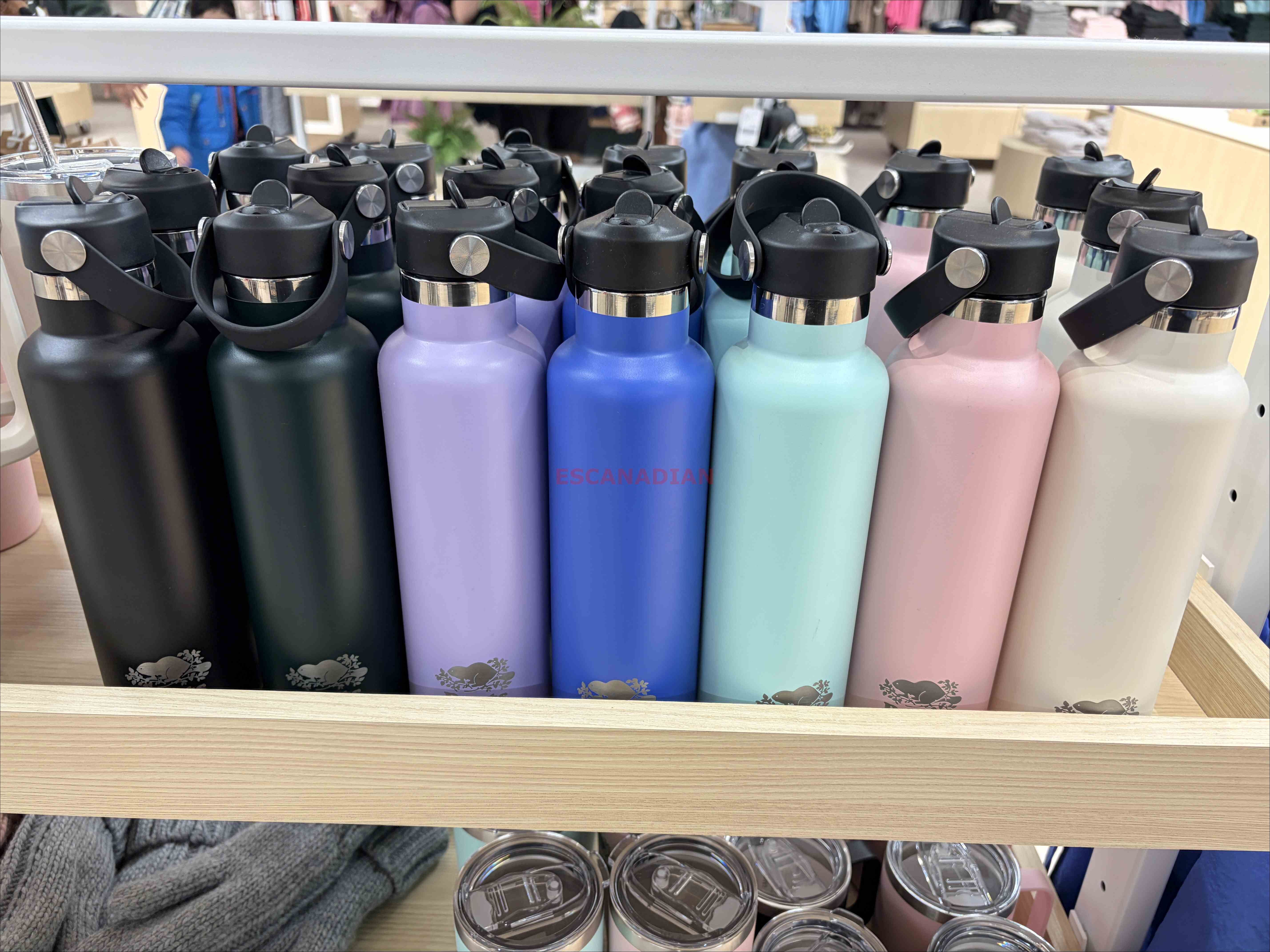 ROOTS  Tumbler 不鏽鋼 雙層保溫水壺 (7色) (600cc)