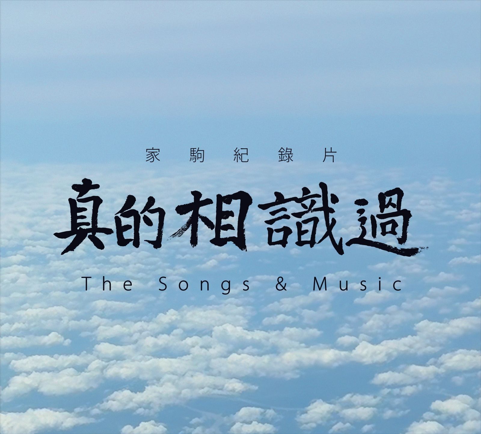 Beyond 家駒- 真的相識過(CD)