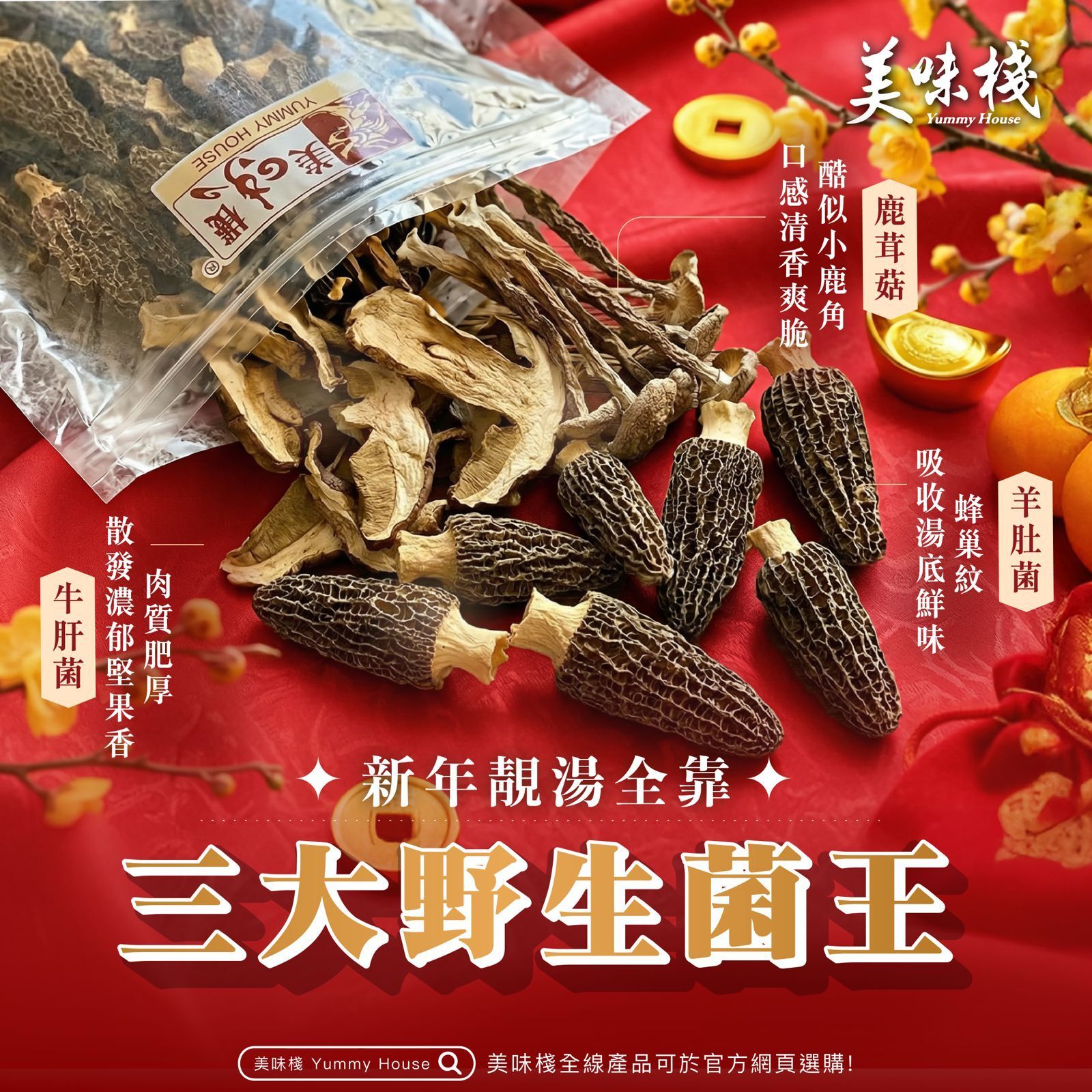 野生菌王組合 - 美味棧 牛肝菌 100克x1 +  鹿茸菇 100克x1 + 羊肚菌 80克 x1