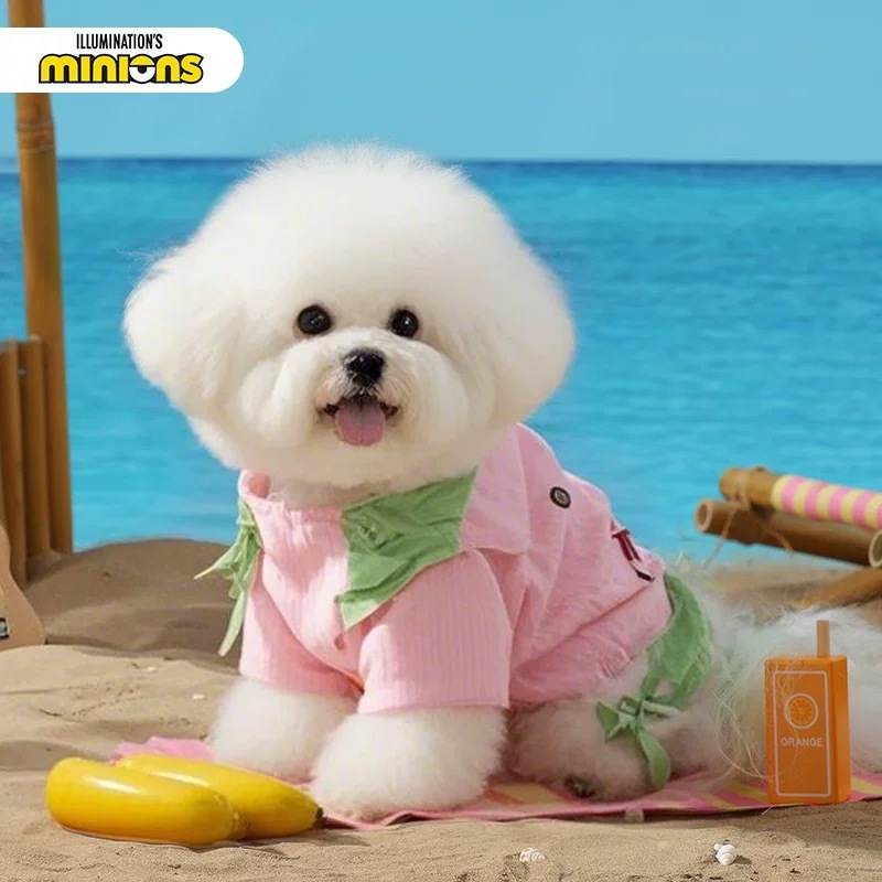 HOOPET x 小黄人联名 春夏粉绿撞色薄款 衣服