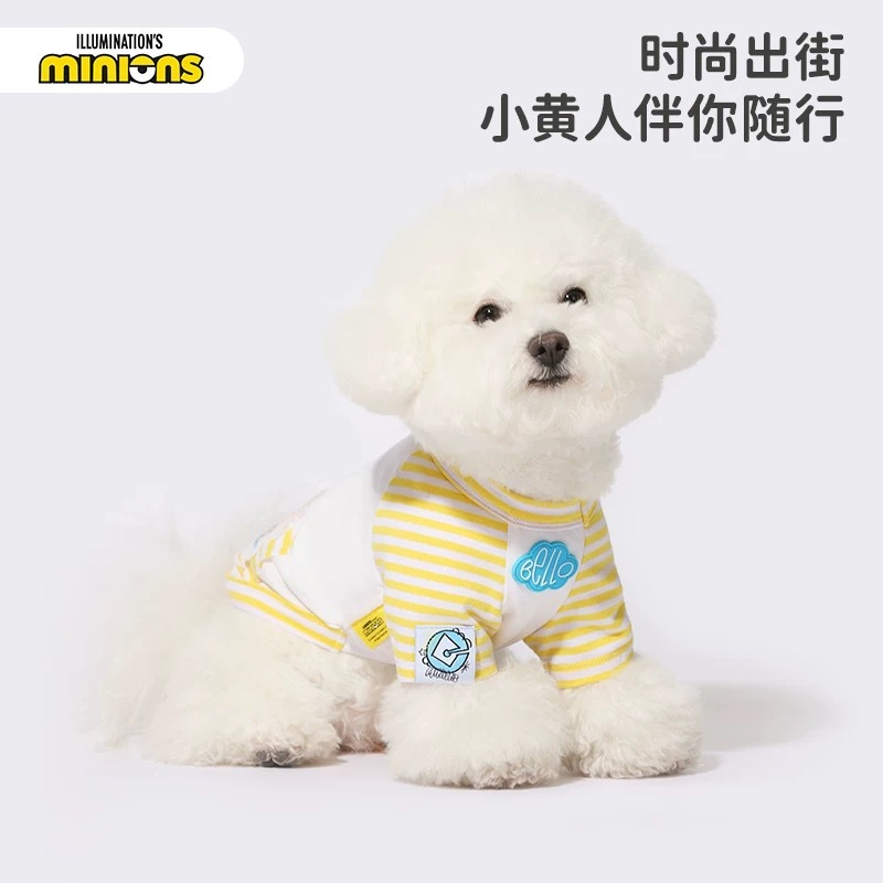 HOOPET x 小黄人联名 宠物夏日薄款凉感 撞色线条T恤