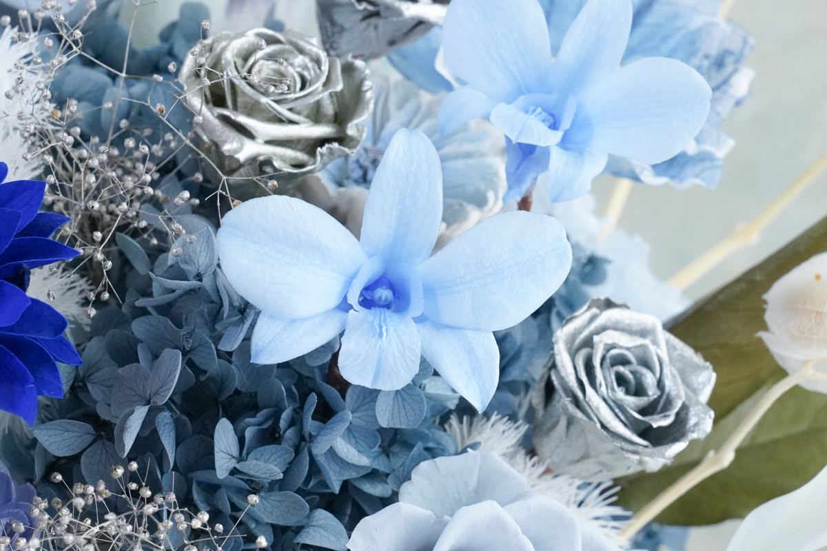 藍色永生花開幕盆花,升遷盆花推薦,台北代客送花服務,長官升遷送花推薦,藍色永生花特寫1