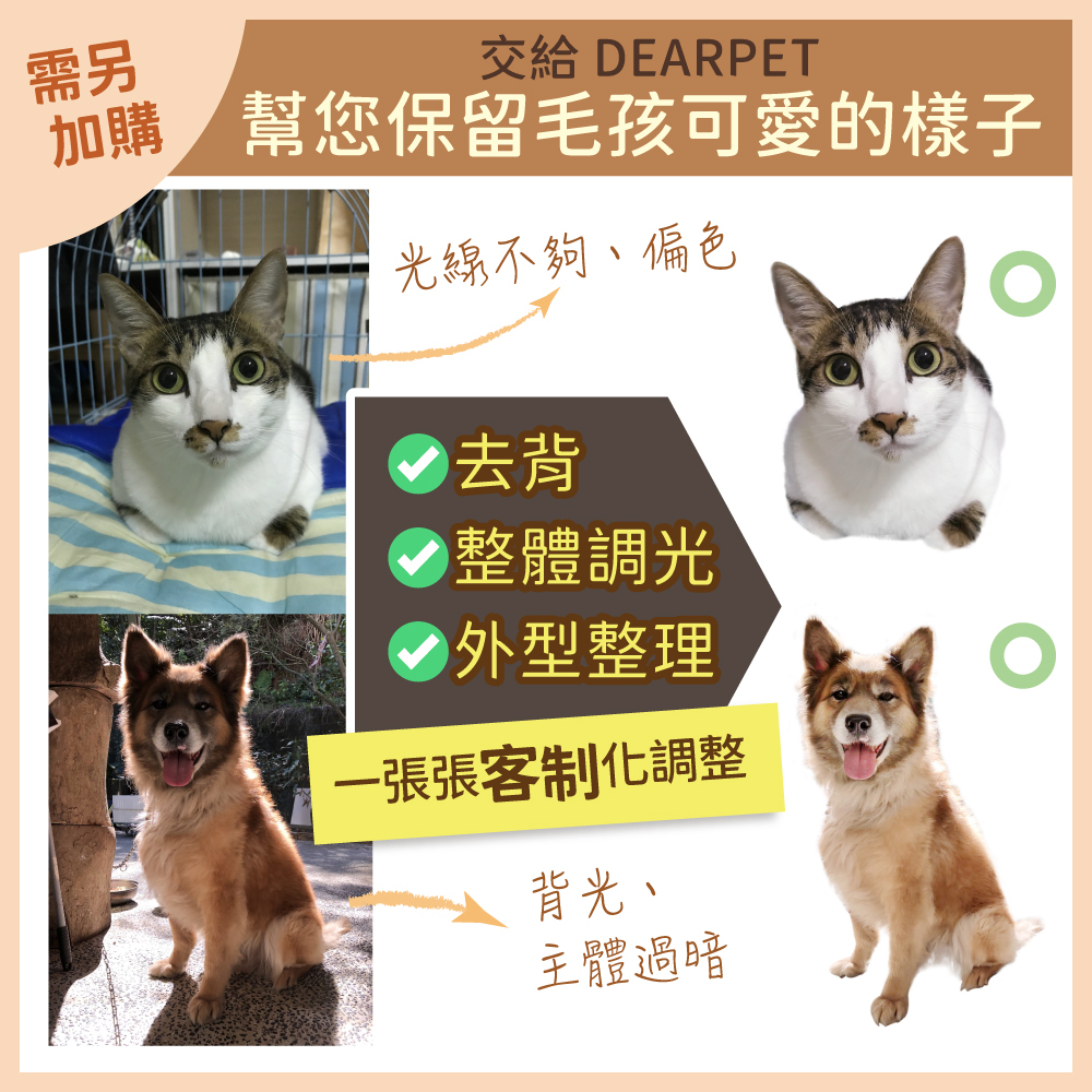 日本美濃燒防潮寵物骨灰罐(3寸)(10公斤以下)花滿芳華