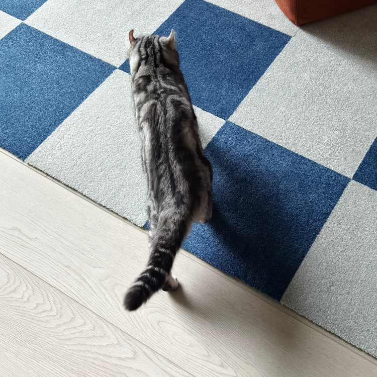 90s科技地毯-淺灰06