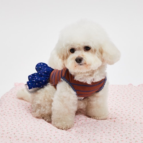 Louisdog Blooming Morning Dress XL