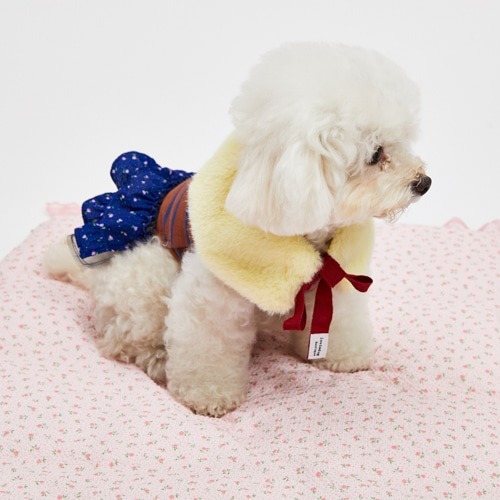 Louisdog Blooming Morning Dress XL