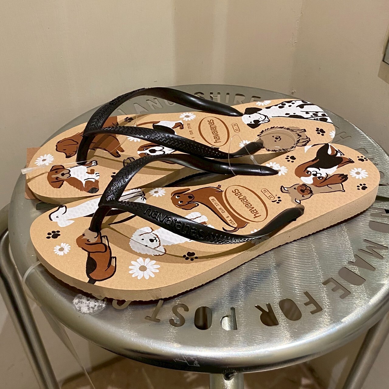 Havaianas 哈瓦仕 拖鞋 女鞋 寵物狗狗 奶茶 4132567-2997W