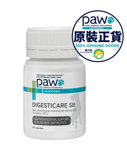 PAW by Blackmores - 小型犬營養補充品 - DigestiCare SB 胃腸道保健品 - 30粒