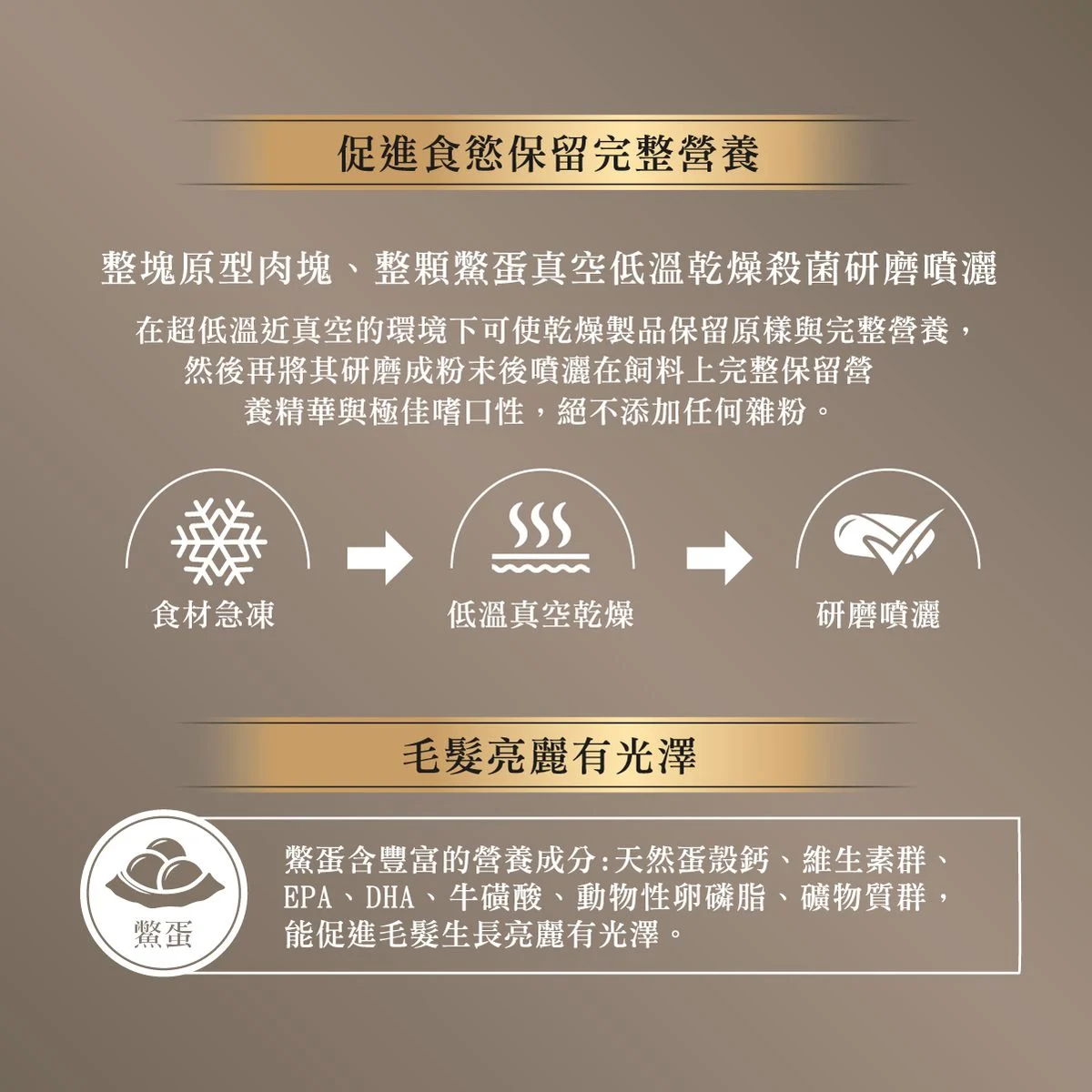 ATTILA 阿提拉 貓糧