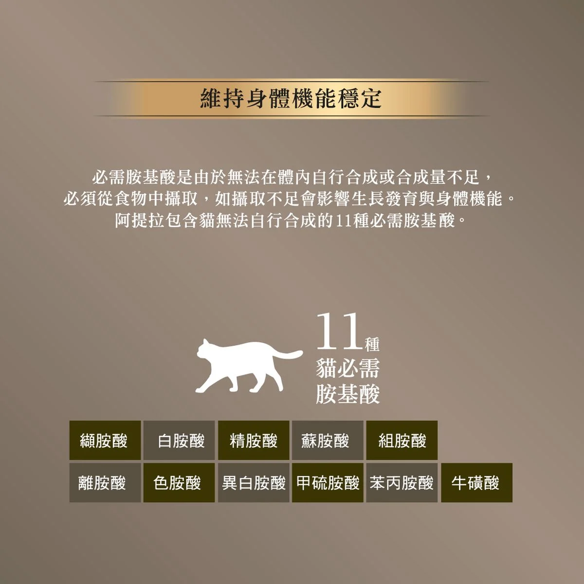 ATTILA 阿提拉 貓糧