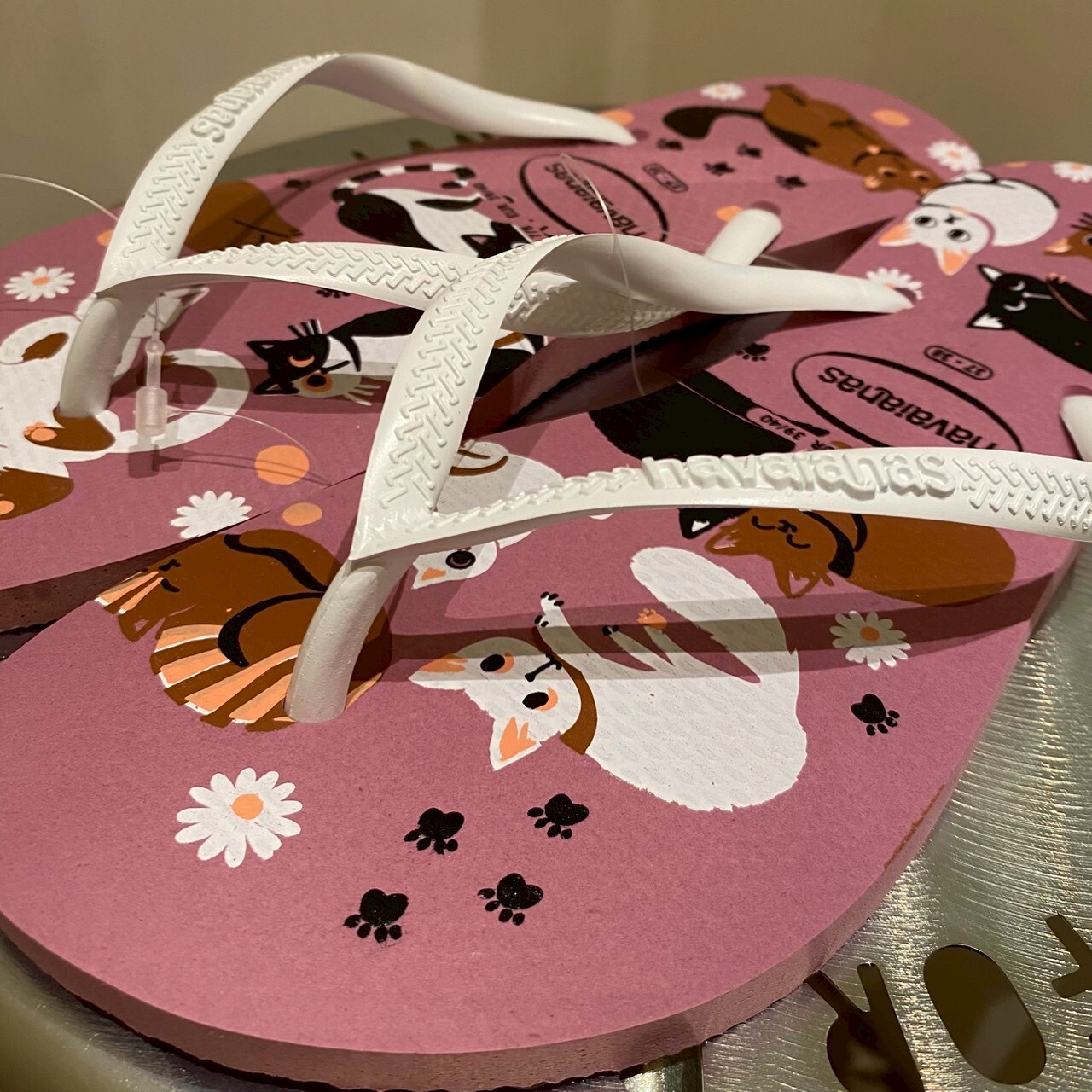Havaianas 哈瓦仕 拖鞋 女鞋 寵物貓咪 粉紫 4132567-1105W