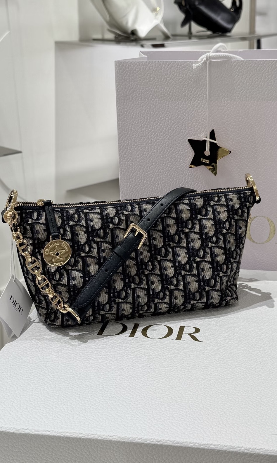 Dior Diorstar 半月形手袋連鏈帶