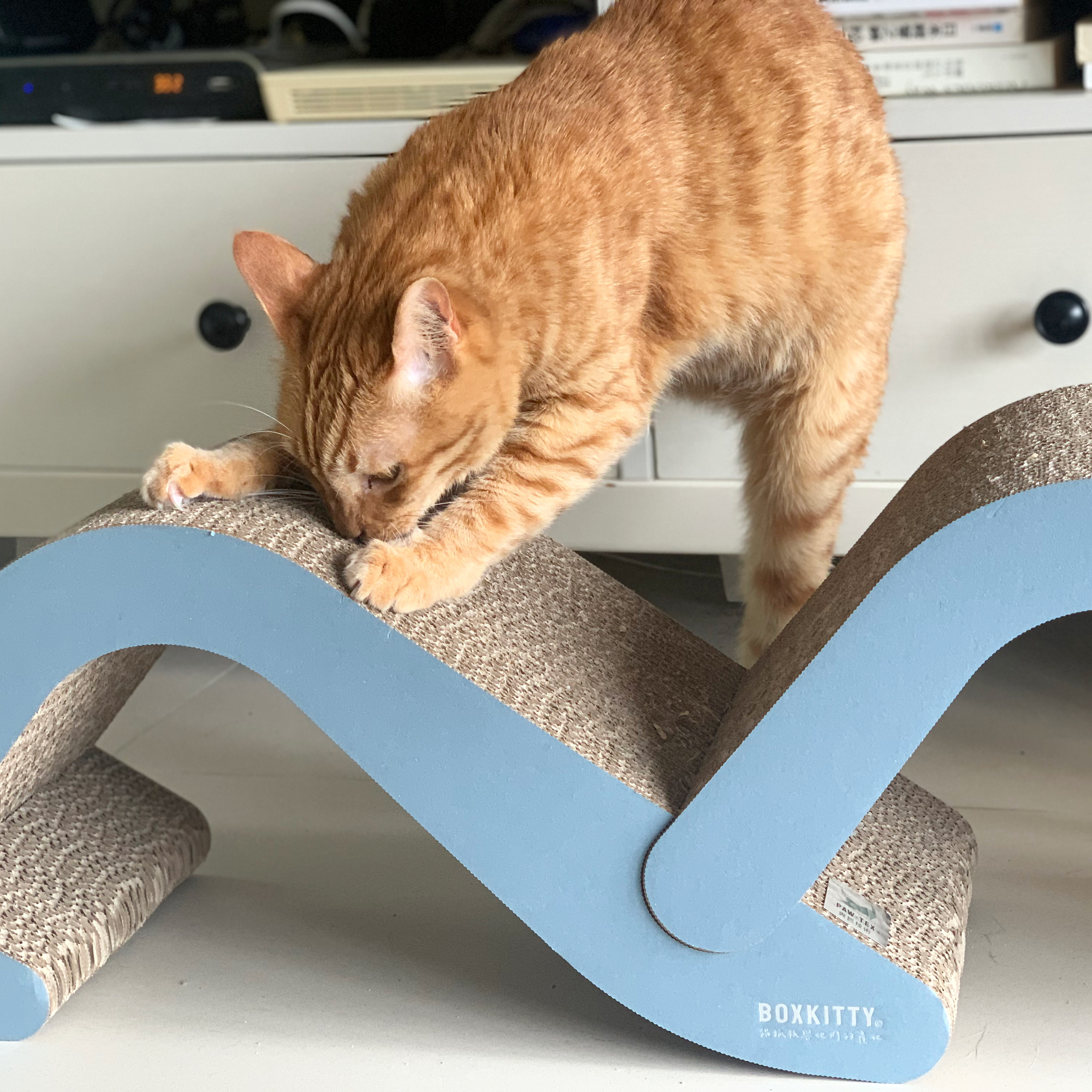 貓用品-貓抓板-台灣抓板-boxkitty