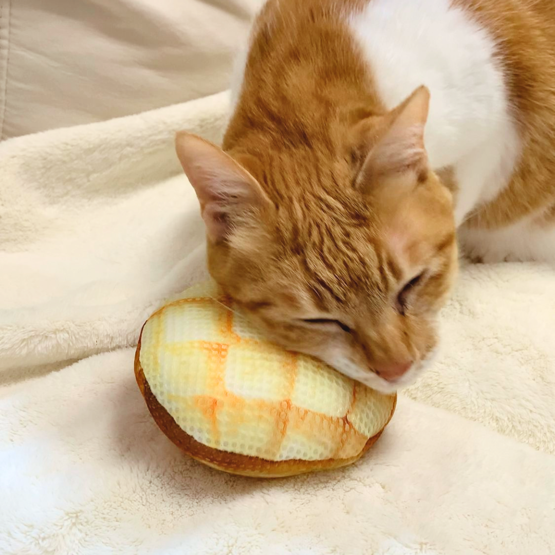 貓用品-貓玩具-木天蓼-3littlemeow