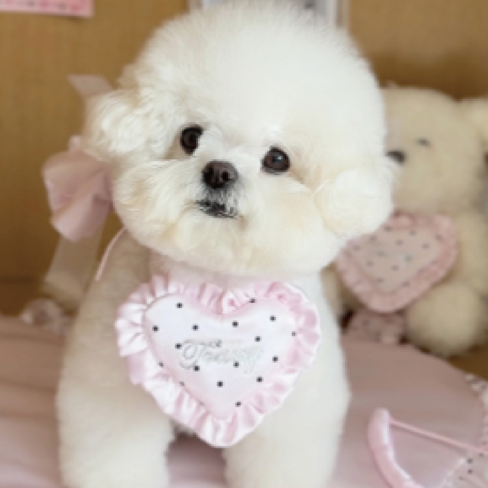 Dear Love 愛心圍兜