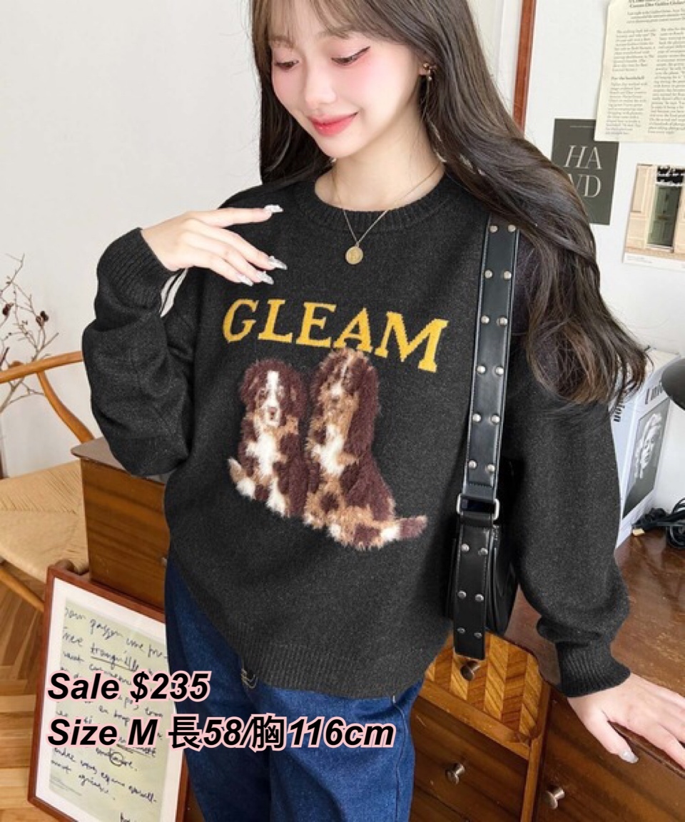 260204 日系女裝moments 狗狗圖案冷衫/4 色