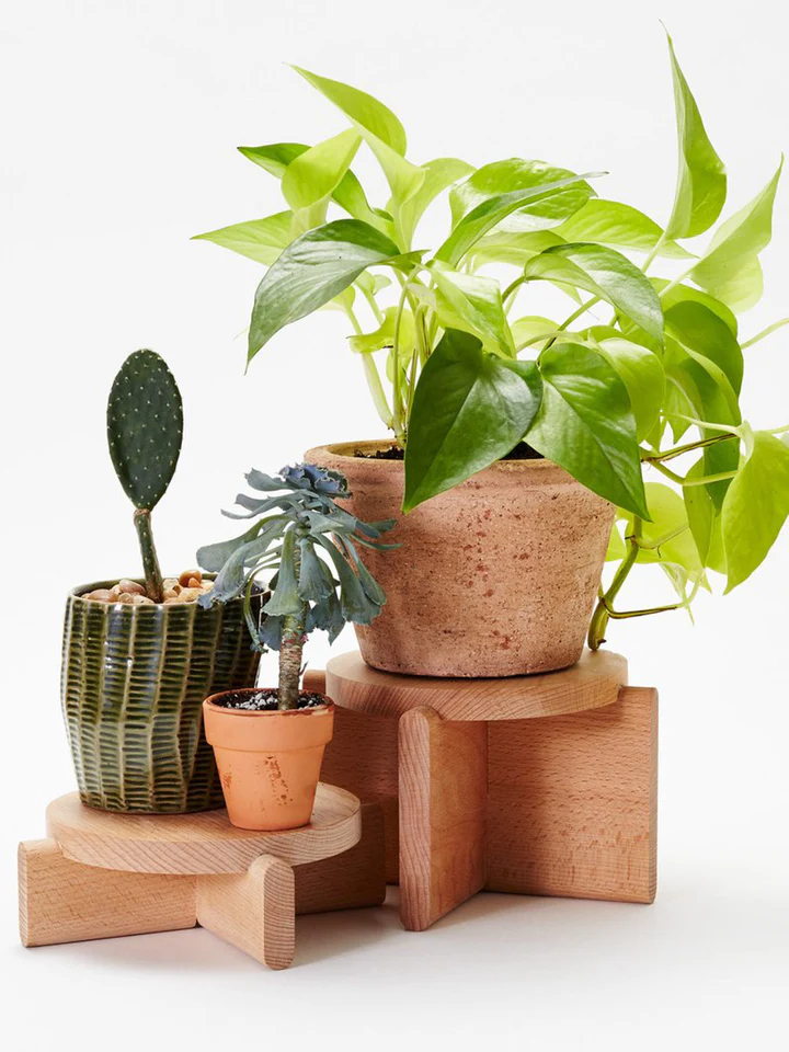 Areaware Pete Oyler-桌型花架，每個底座均採用搭接榫接結構，使整體設計渾然一體。