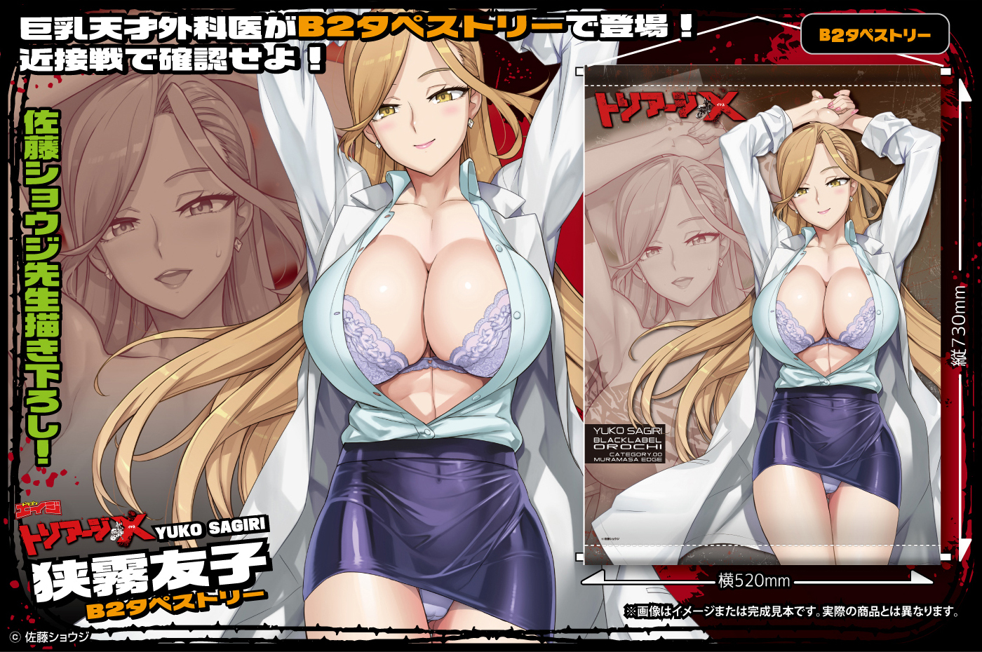 「R18.Japan」「預購」Orchid Seed トリアージX 狭霧友子 B2掛布