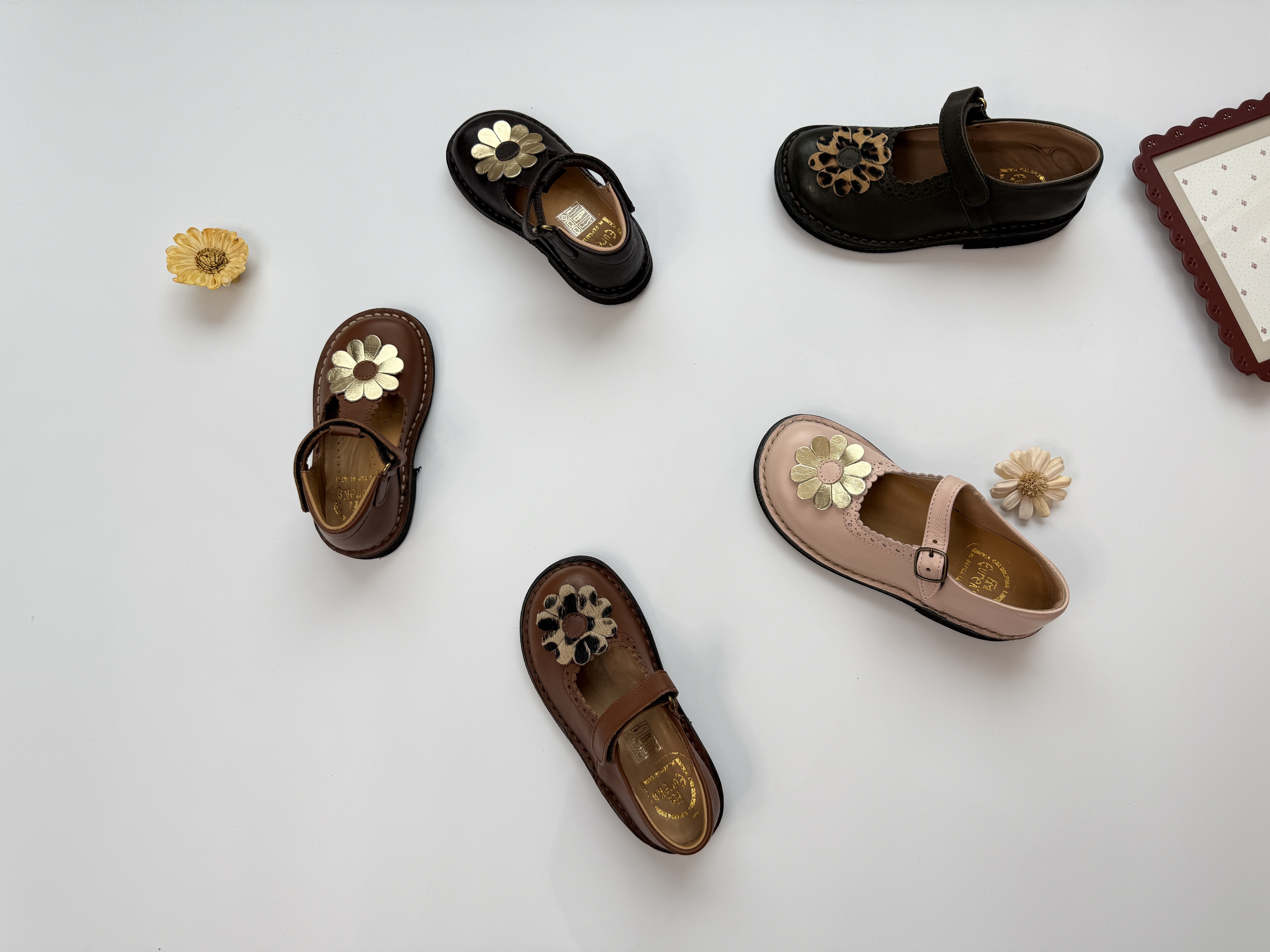 (預購) EUREKA 真皮雛菊T字高筒鞋