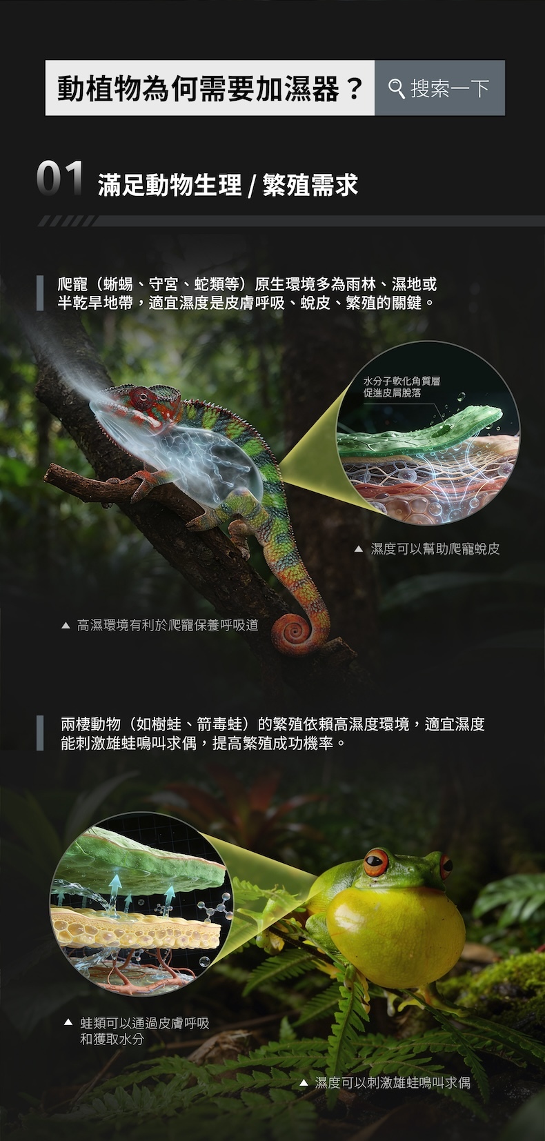 爬蟲與兩棲動物在高濕環境下進行呼吸、蛻皮與繁殖，Mistella M1 協助建立穩定微氣候