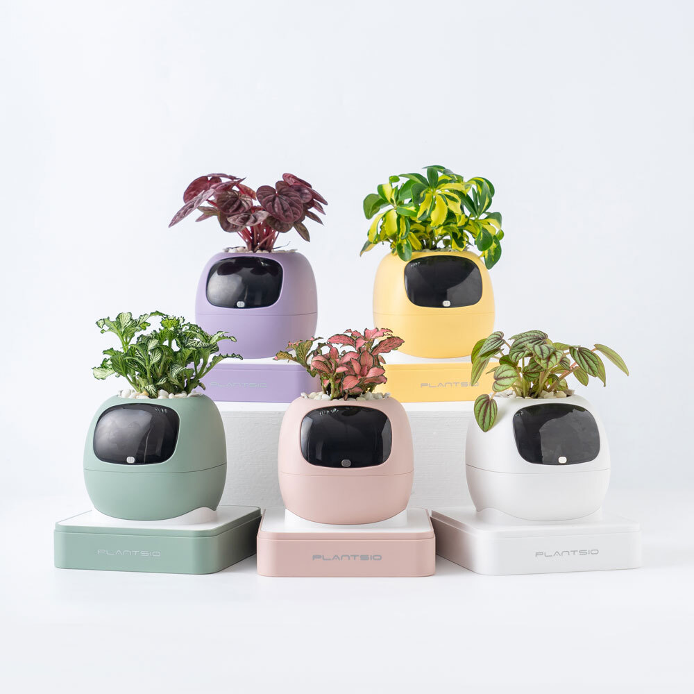 PLANTSIO Ivy Gen 2智能盆栽