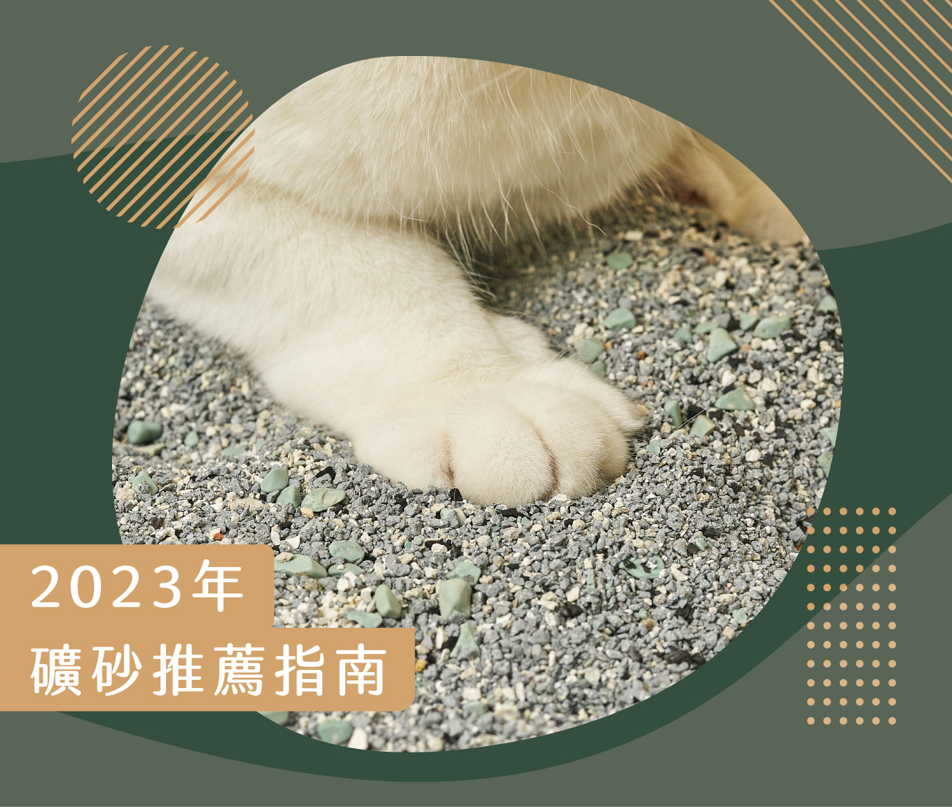 礦砂推薦指南!哪款礦砂最適合你