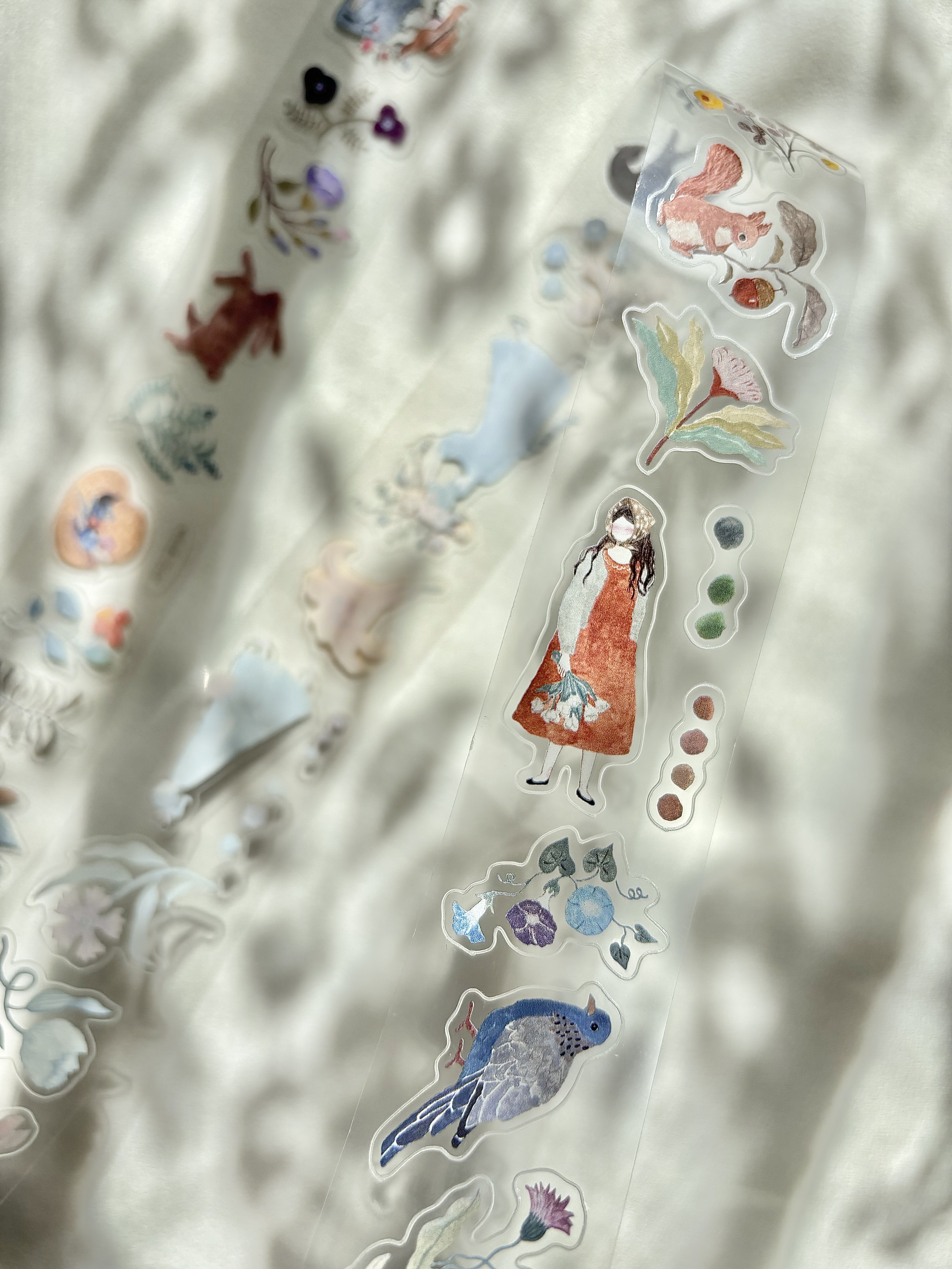 Pion．有花 3cm亮面PET膠帶 <整捲/分裝>