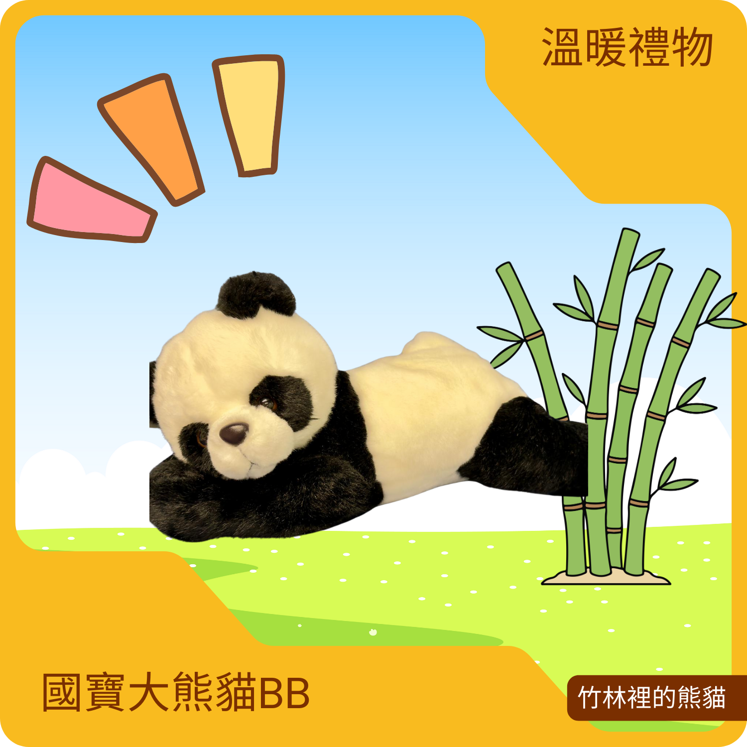 國寶大熊貓BB