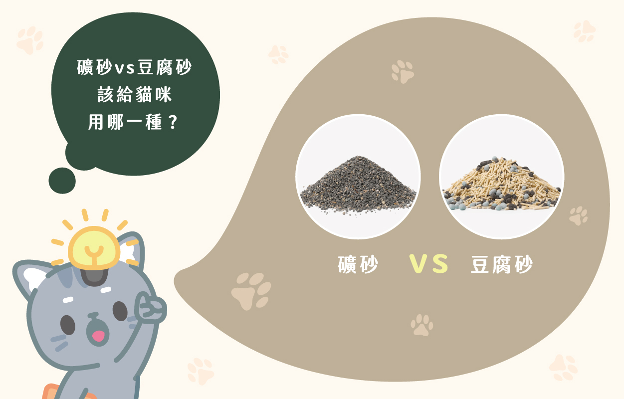 該給貓咪使用礦砂還是豆腐砂?