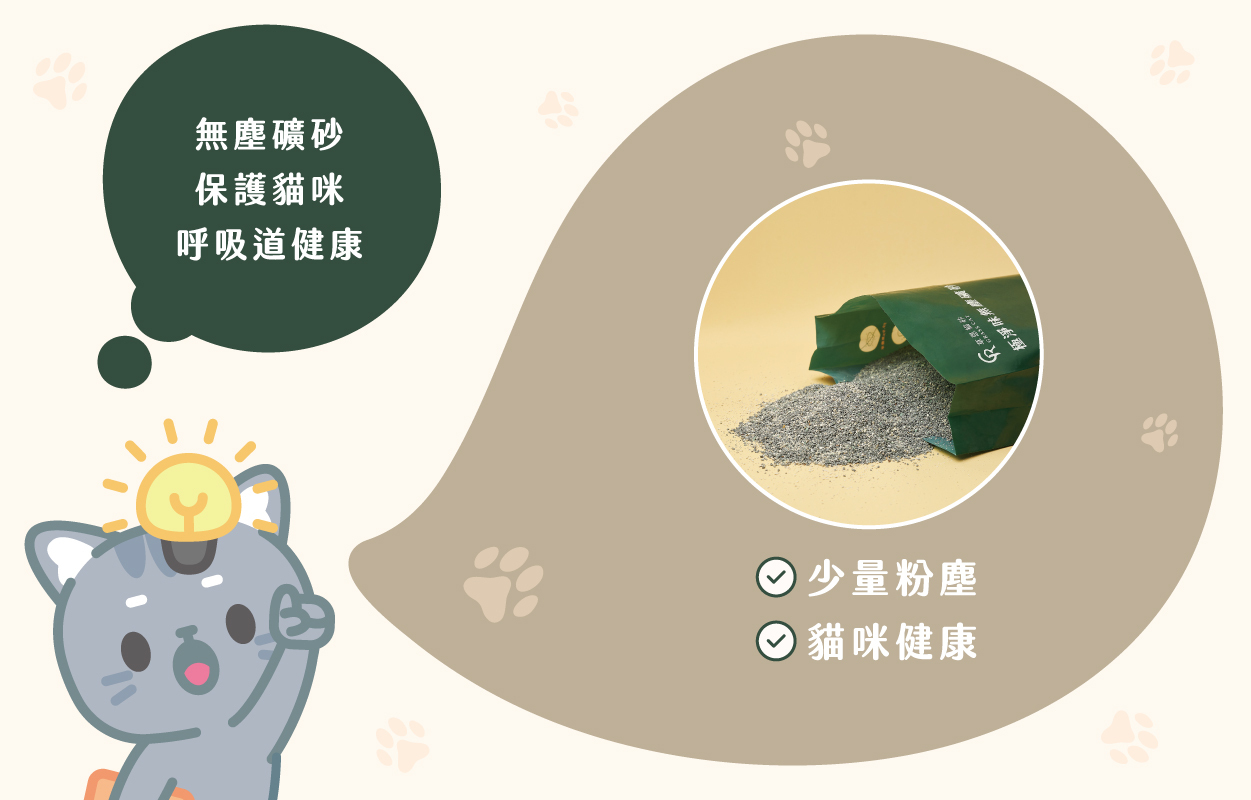 礦砂挑選禁忌！選無塵礦砂保護貓咪呼吸道健康