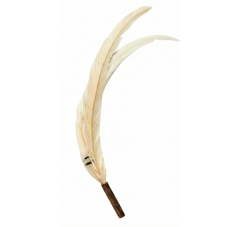 逗貓棒替換頭｜白雞羽毛款（2入組）