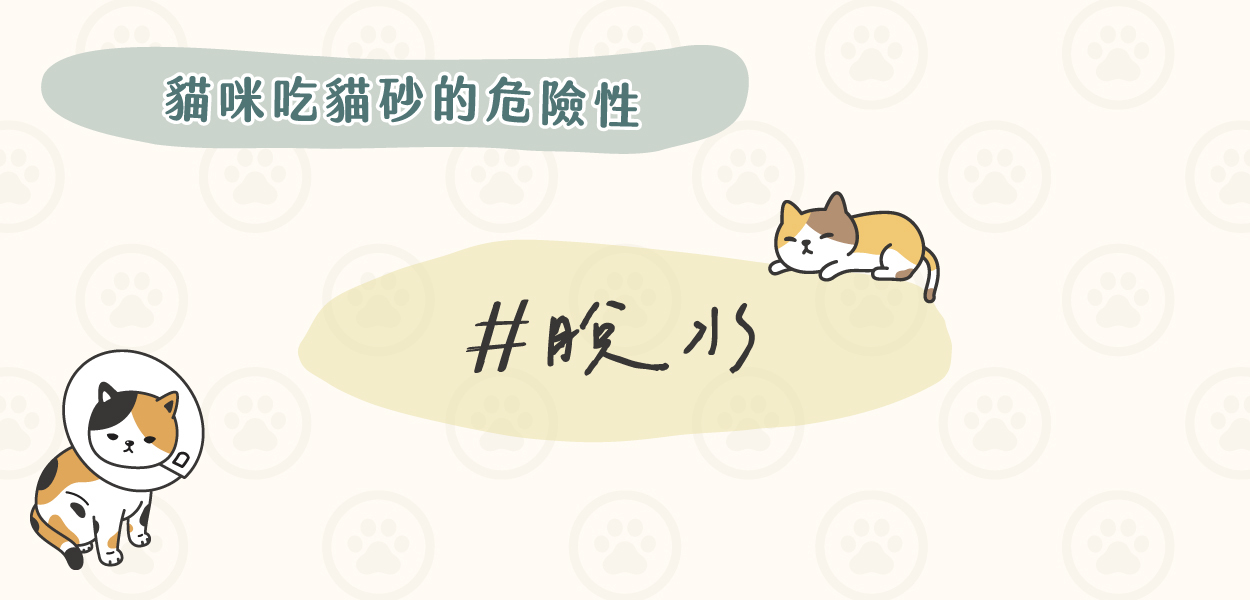 貓咪長期吃貓砂會脫水