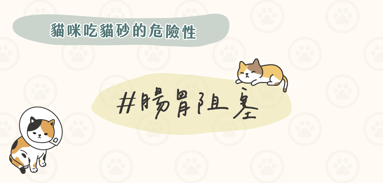 貓咪長期吃貓砂會腸胃阻塞