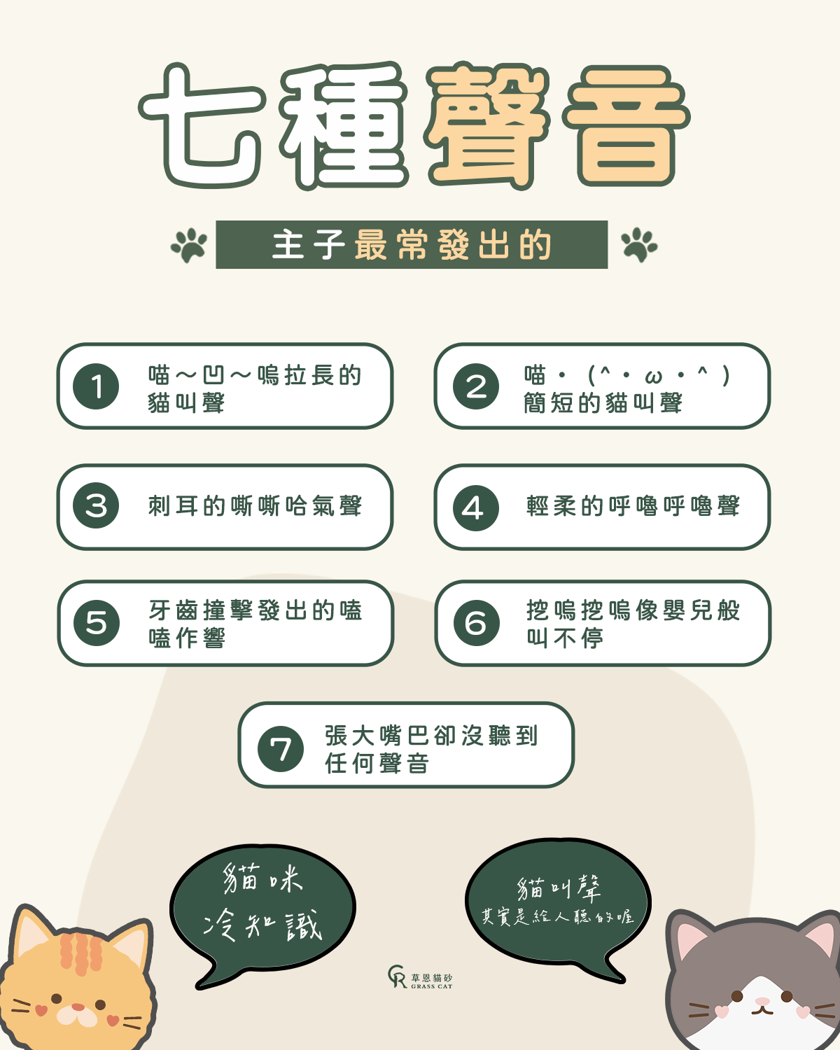 貓咪常見的7種叫聲有哪些