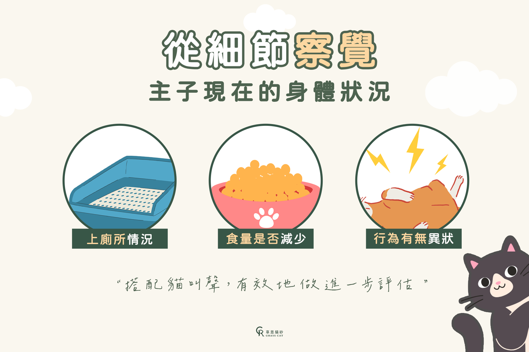 可以從上廁所情況、食量是否有減少、行為有無異狀來觀察貓咪的身體狀況唷