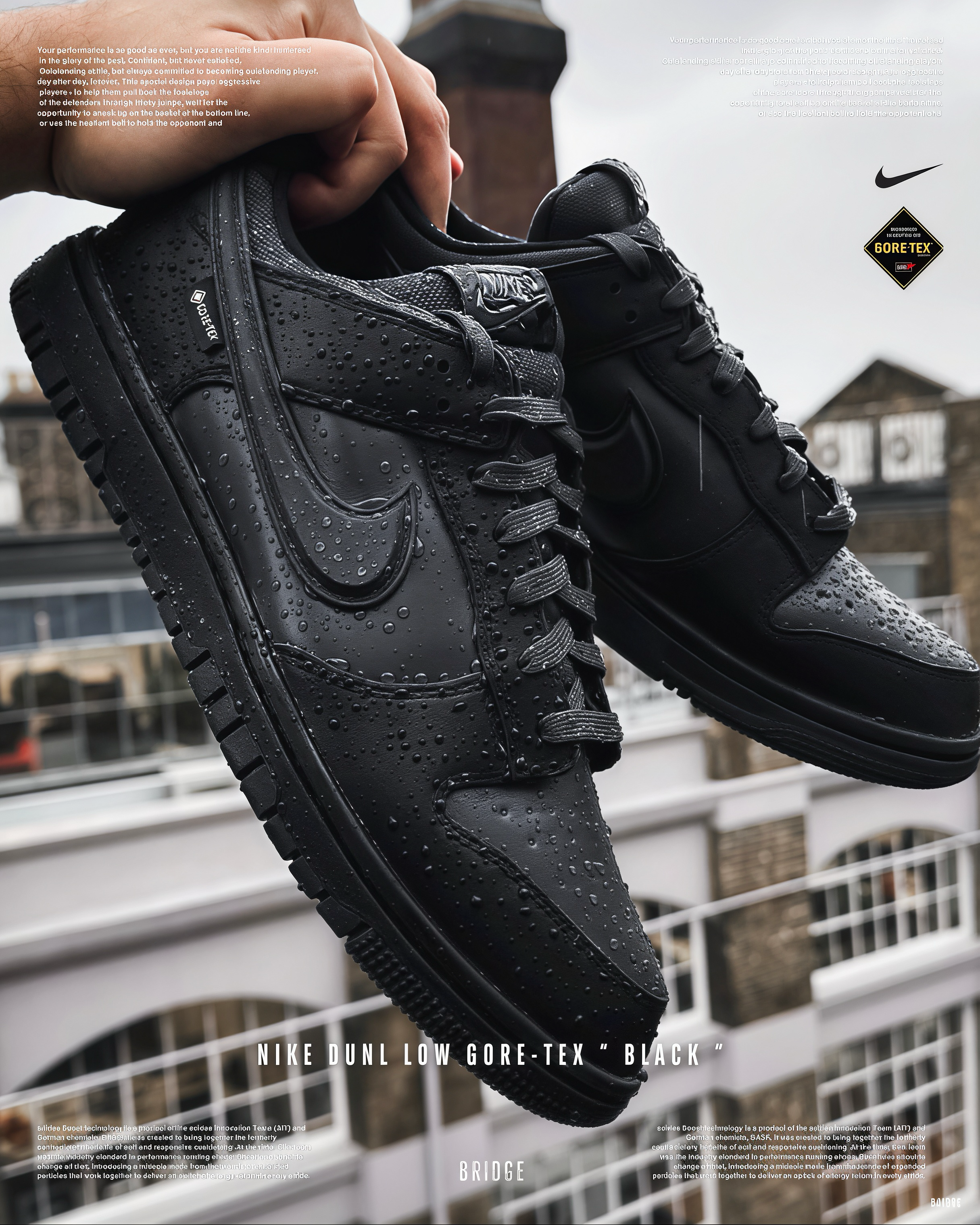 『全黑GORE-TEX 防水 這超有誠意！ 』NIKE DUNK LOW HQ2053-001