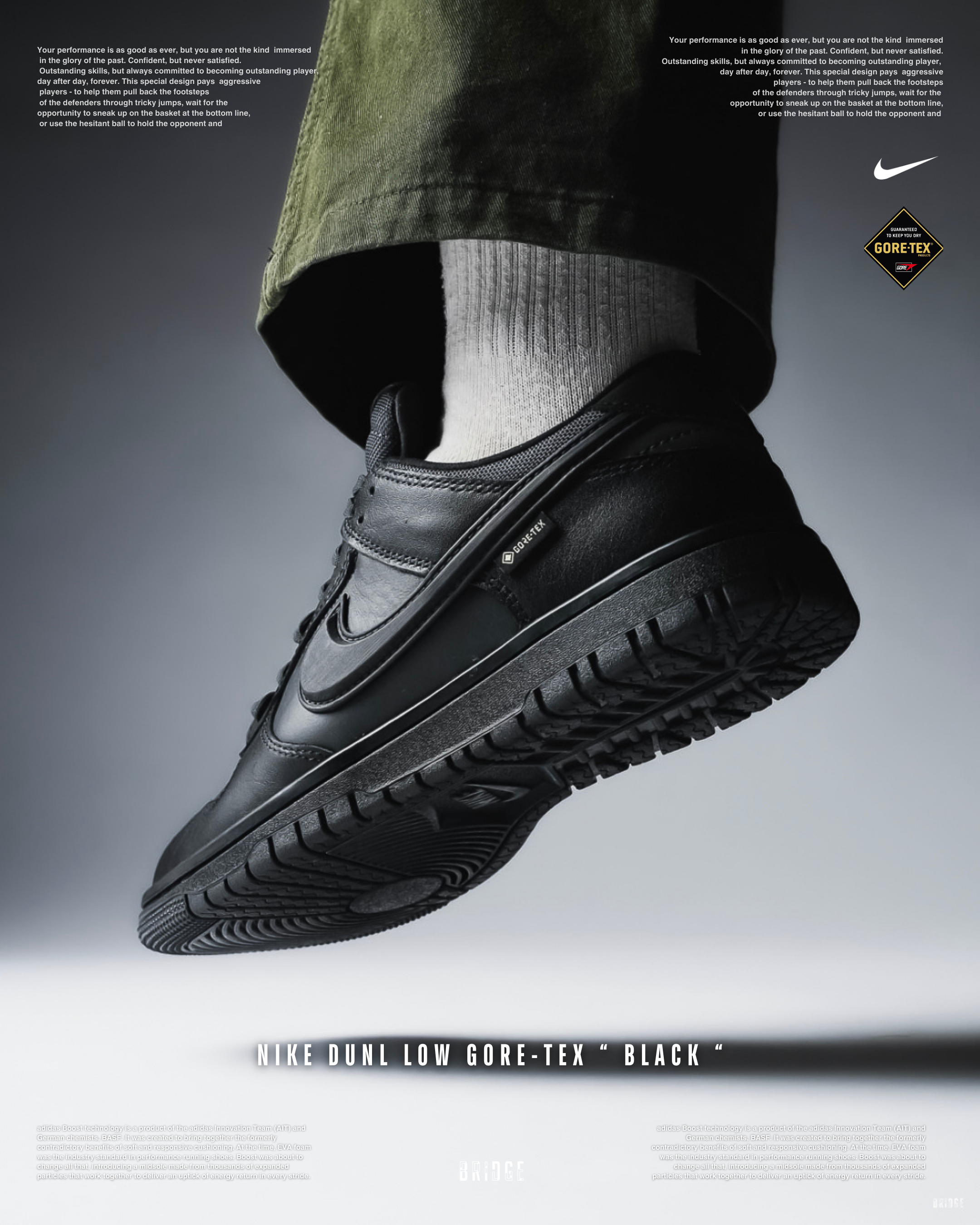 『全黑GORE-TEX 防水 這超有誠意！ 』NIKE DUNK LOW HQ2053-001